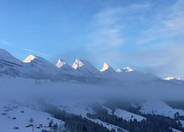 Kurhaus Sunnehus ويلدهاوس