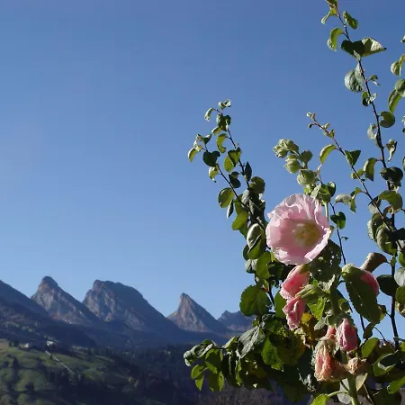 Kurhaus Sunnehus ويلدهاوس