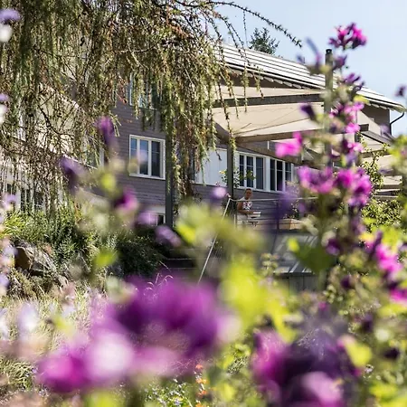 فندق Kurhaus Sunnehus ويلدهاوس