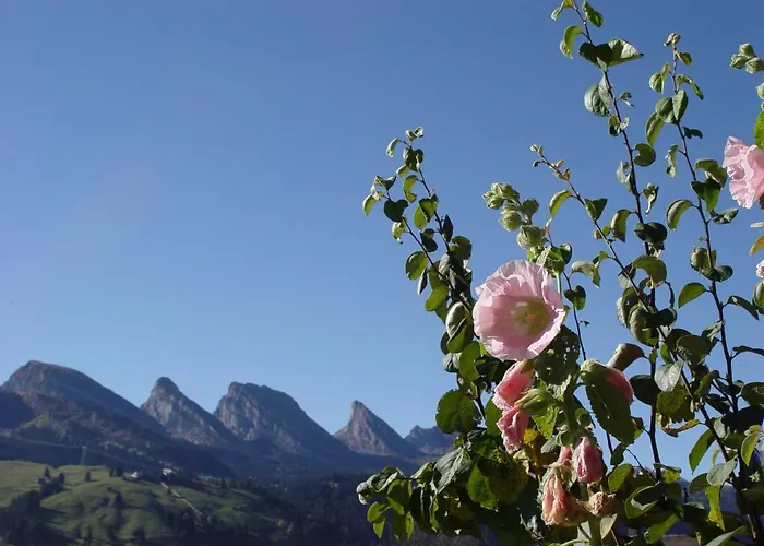 Kurhaus Sunnehus Wildhaus